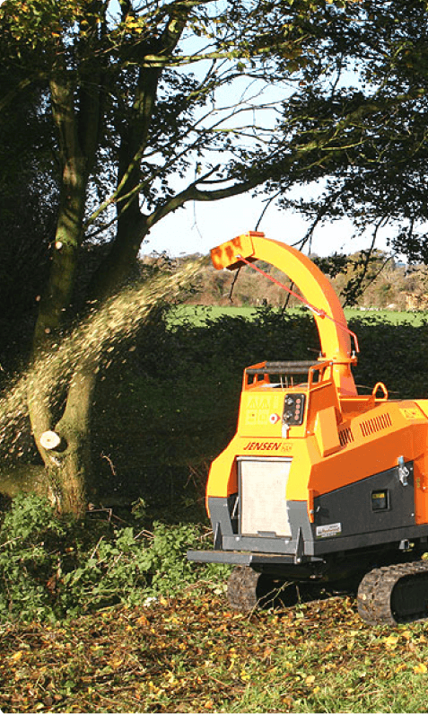 Contacta nuestros servicios